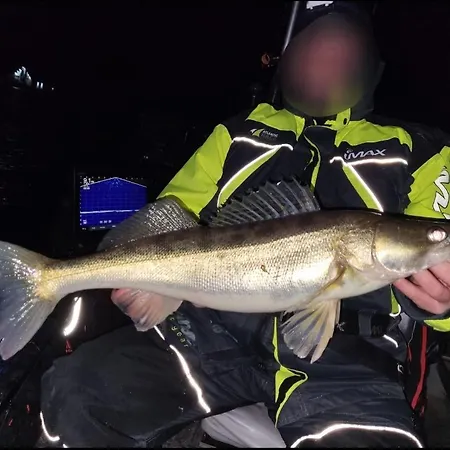 Dominikana House Kunice (Lower Silesia)