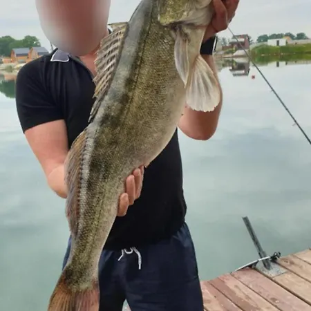 Dominikana House Kunice (Lower Silesia)