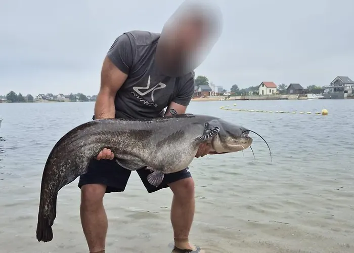 Dominikana House Vila Kunice (Lower Silesia)