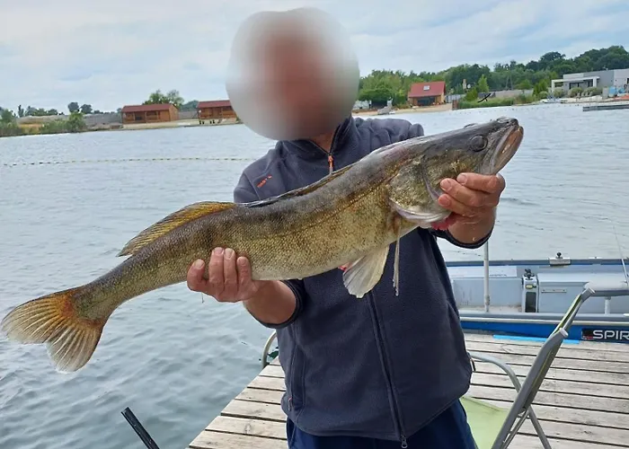 Dominikana House Vila *