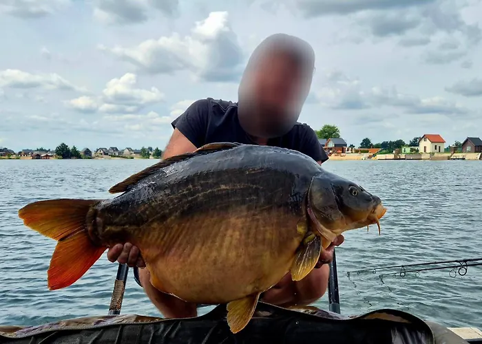 Dominikana House Vila Kunice (Lower Silesia)